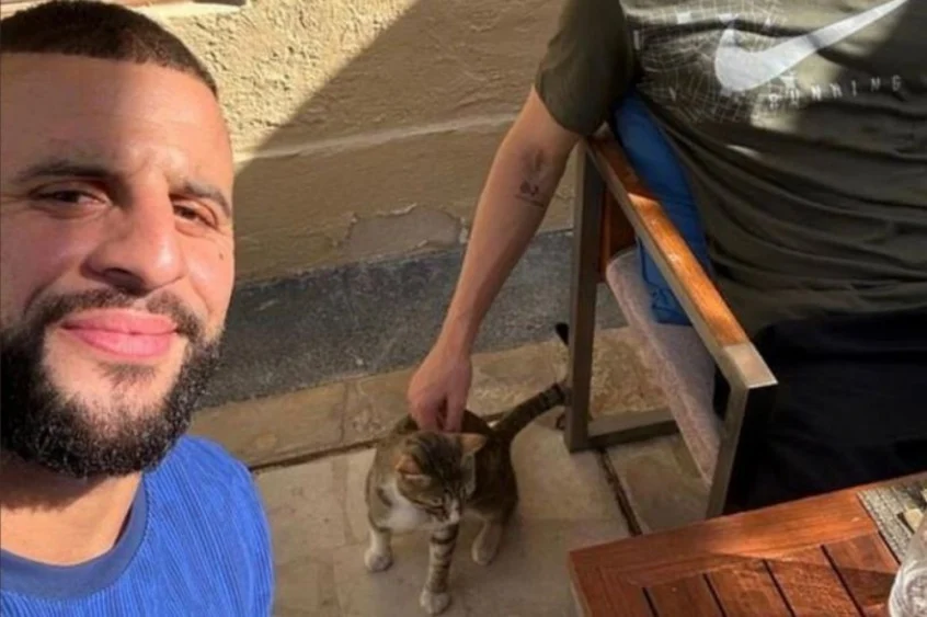 Gatinho da Copa: saiba qual foi o destino dele