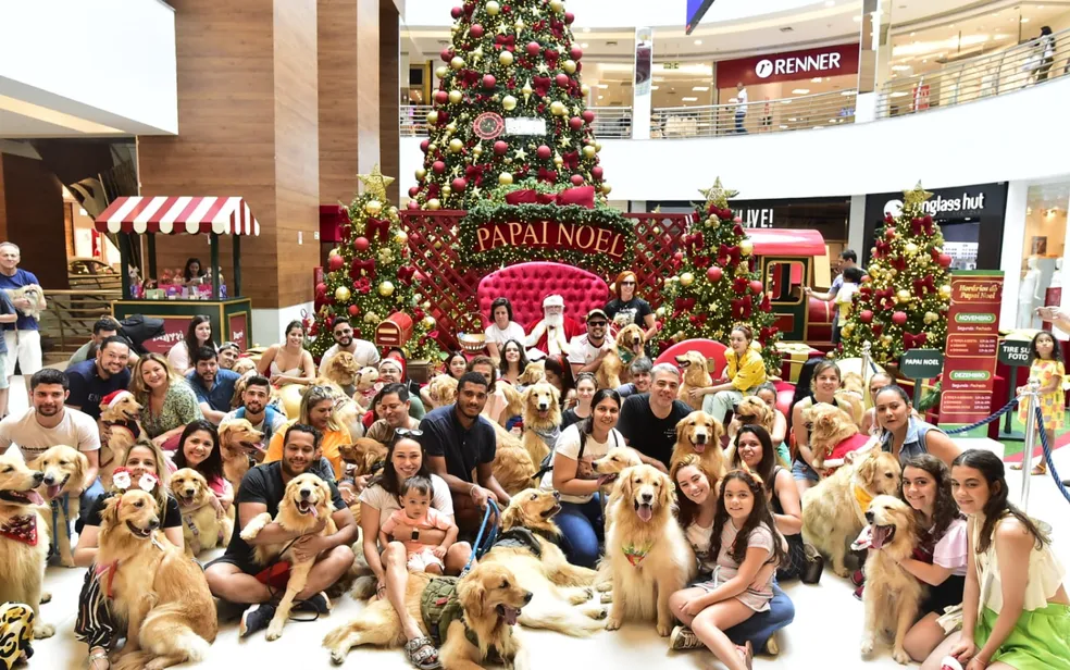 Goldens invadem shopping em busca do Papai Noel