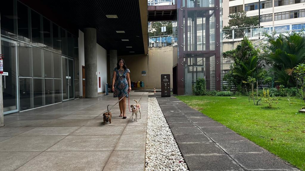 Galerias de arte da Secult Goiás passam a funcionar com sistema pet friendly 