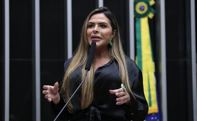 Aprovado Projeto de Lei da deputada Silvye Alves para criar o cadastro nacional de condenados por violência contra a mulher